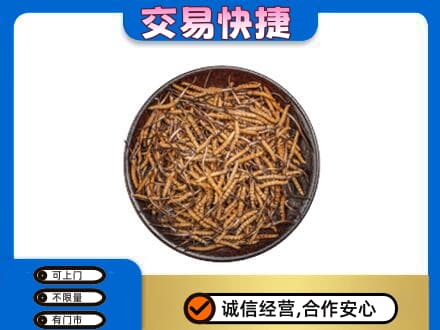 张家口市沽源回收散虫草